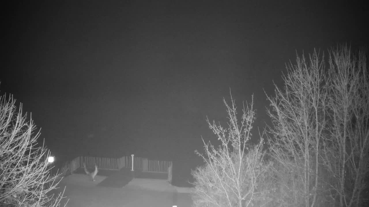 Webcam Ribnik Vrbje – Žalec