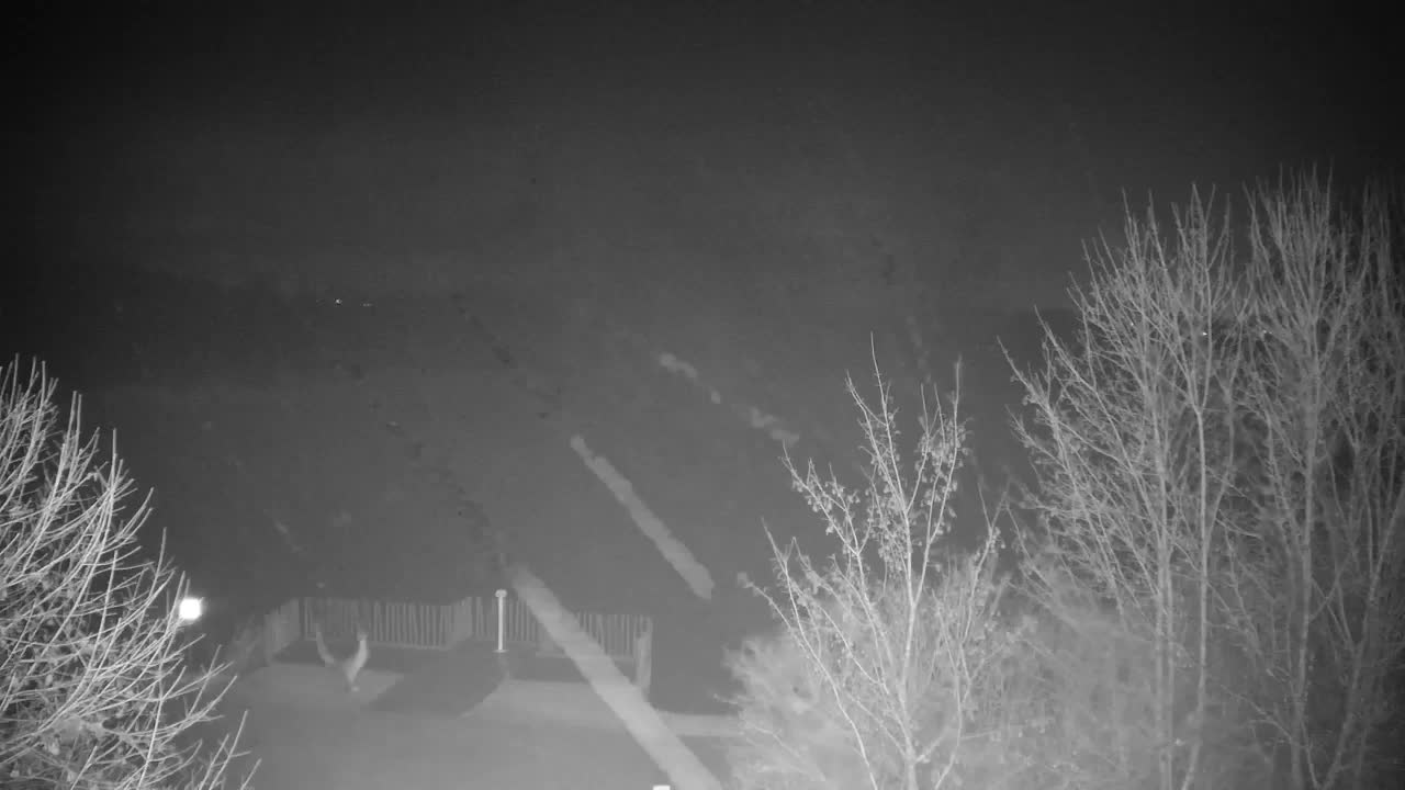 Webcam Ribnik Vrbje – Žalec