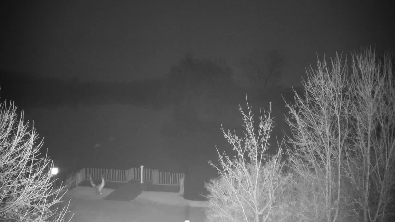 Webcam Ribnik Vrbje – Žalec