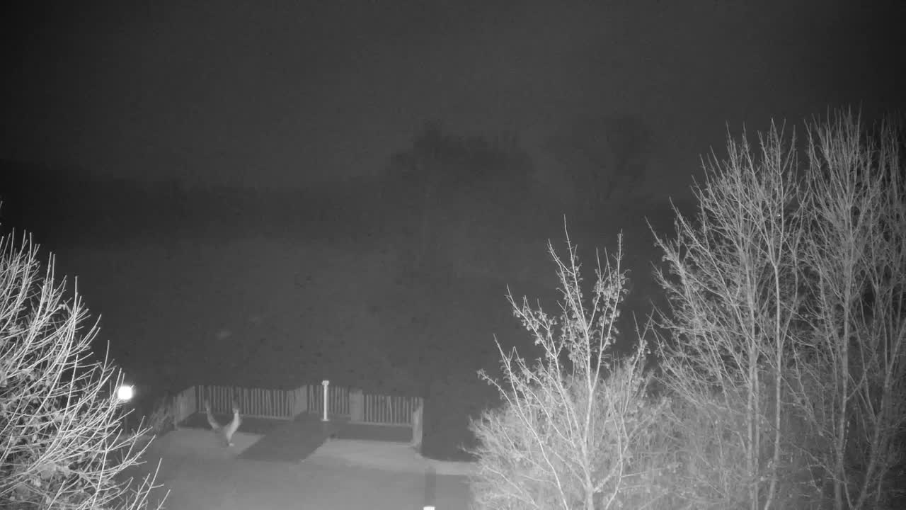 Webcam Ribnik Vrbje – Žalec