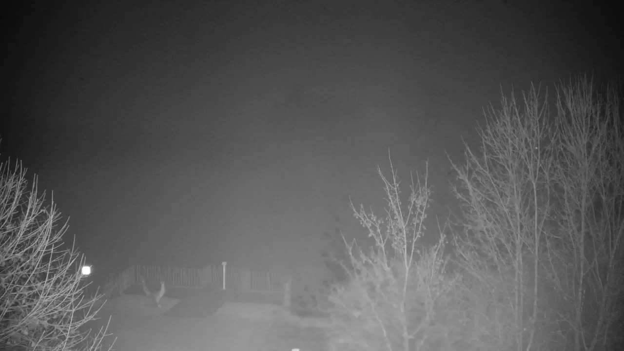 Webcam Ribnik Vrbje – Žalec