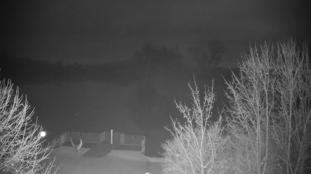 Webcam Ribnik Vrbje – Žalec