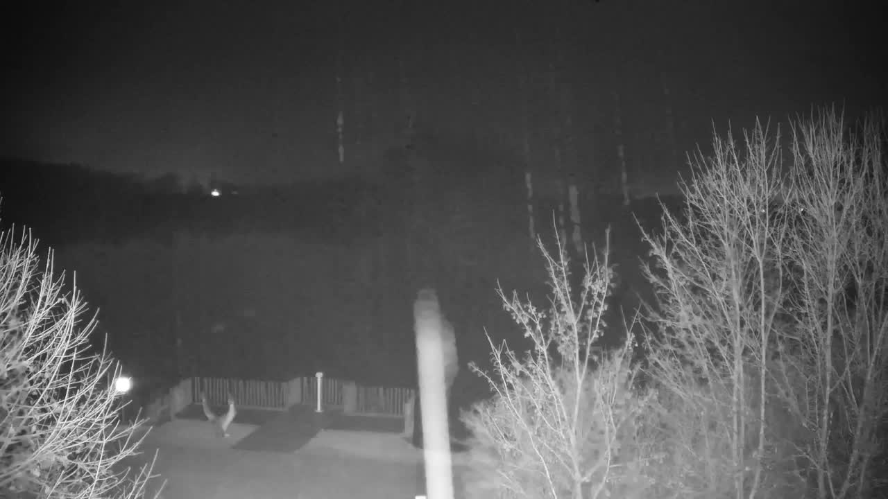 Webcam Ribnik Vrbje – Žalec