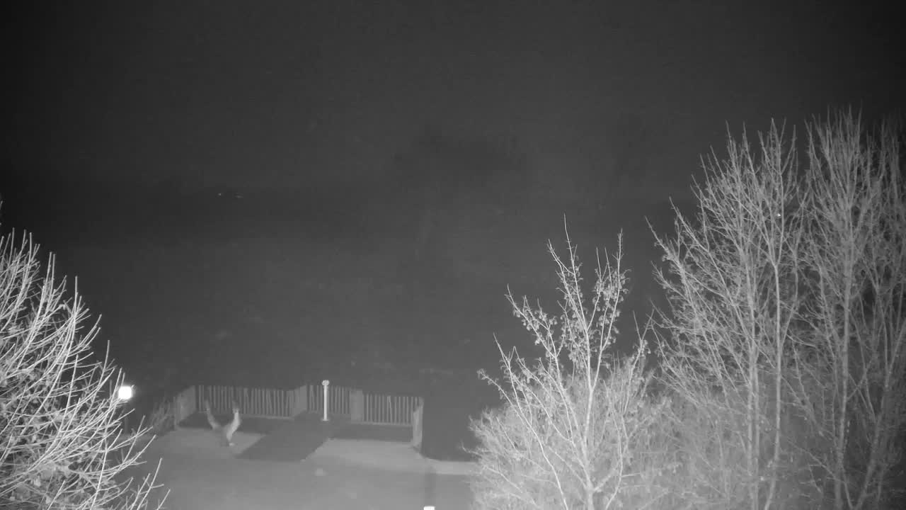 Webcam Ribnik Vrbje – Žalec