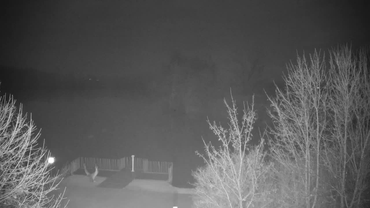 Webcam Ribnik Vrbje – Žalec