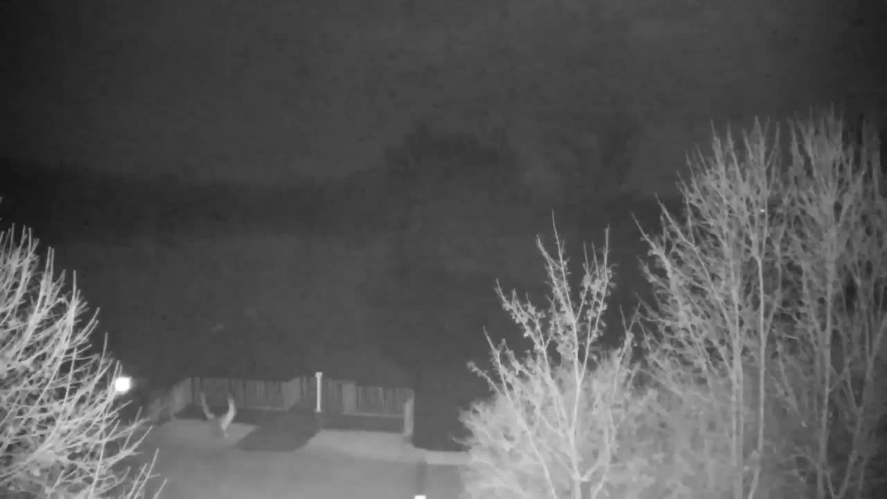 Webcam Ribnik Vrbje – Žalec