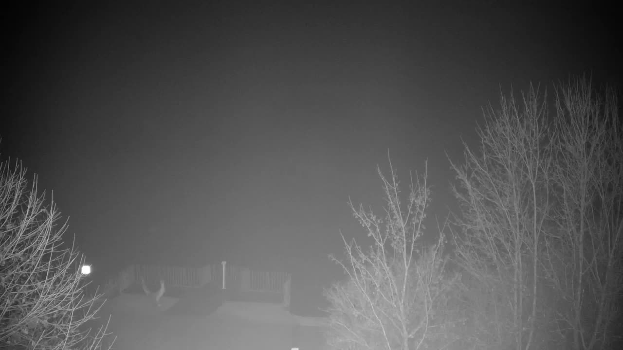 Webcam Ribnik Vrbje – Žalec