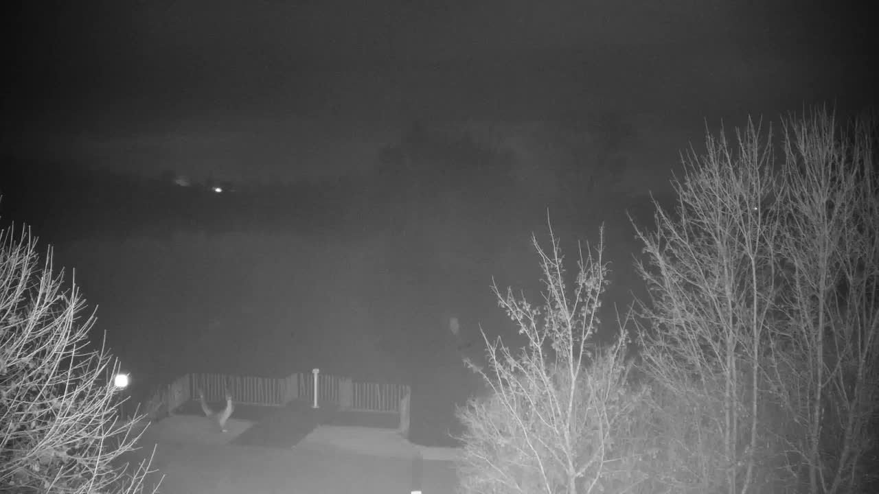 Webcam Ribnik Vrbje – Žalec