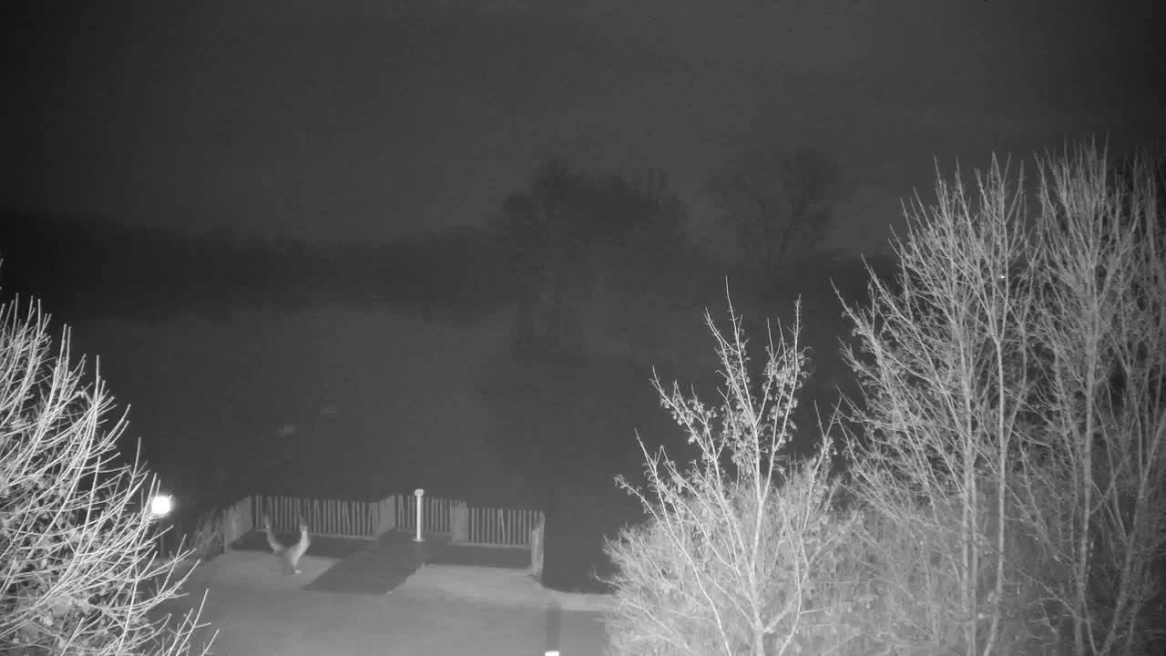 Webcam Ribnik Vrbje – Žalec