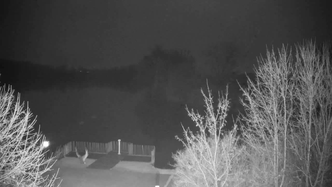 Webcam Ribnik Vrbje – Žalec