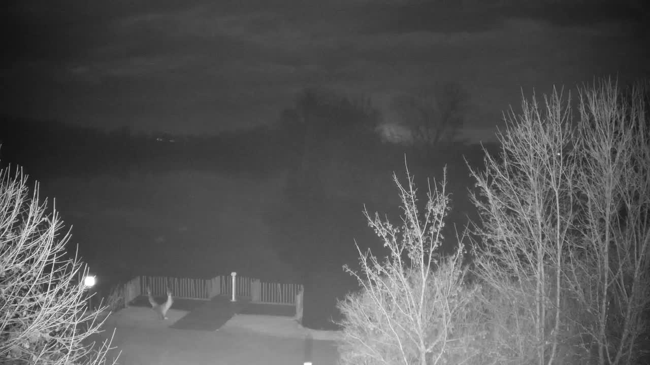 Webcam Ribnik Vrbje – Žalec