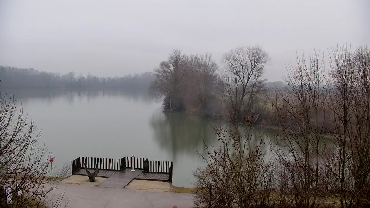 Webcam Ribnik Vrbje – Žalec