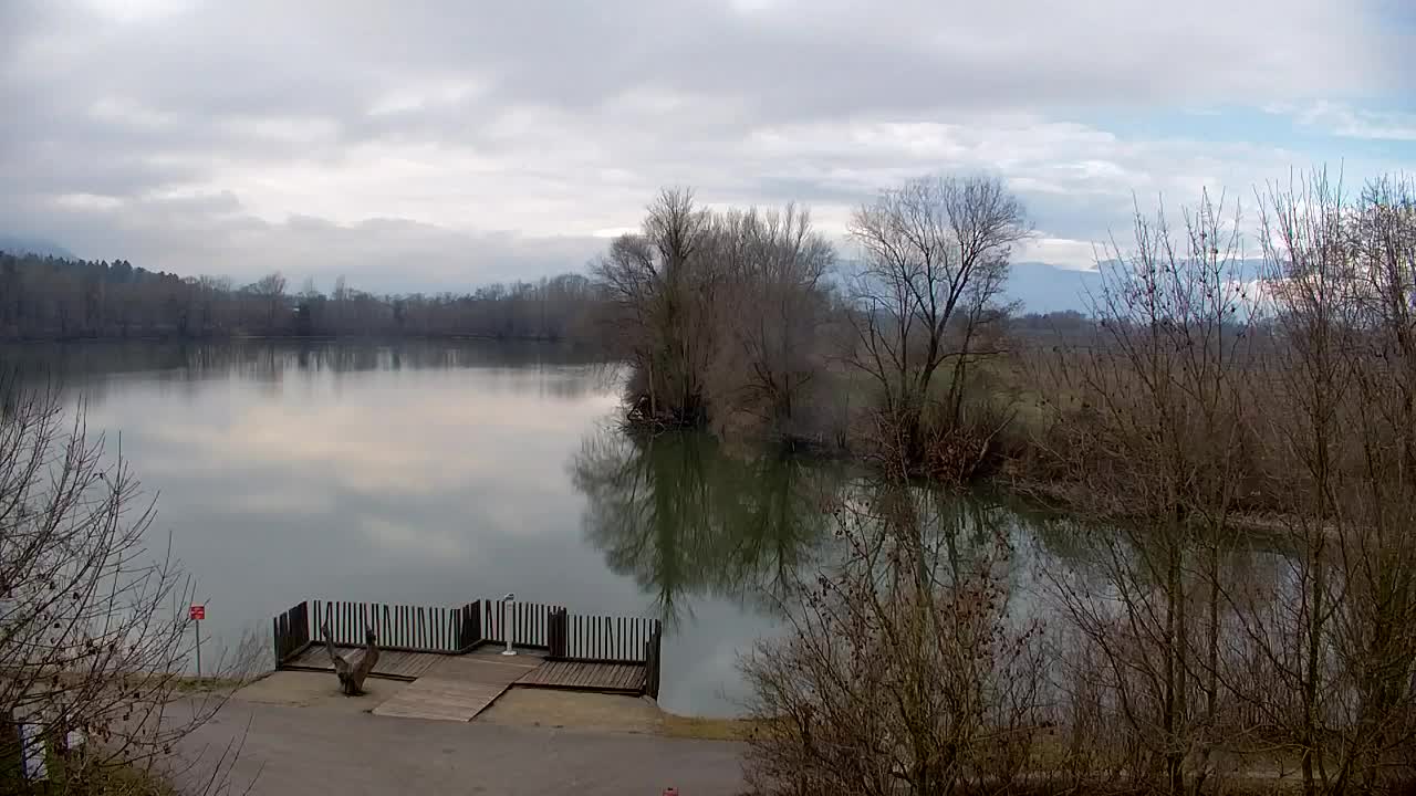 Webcam Ribnik Vrbje – Žalec