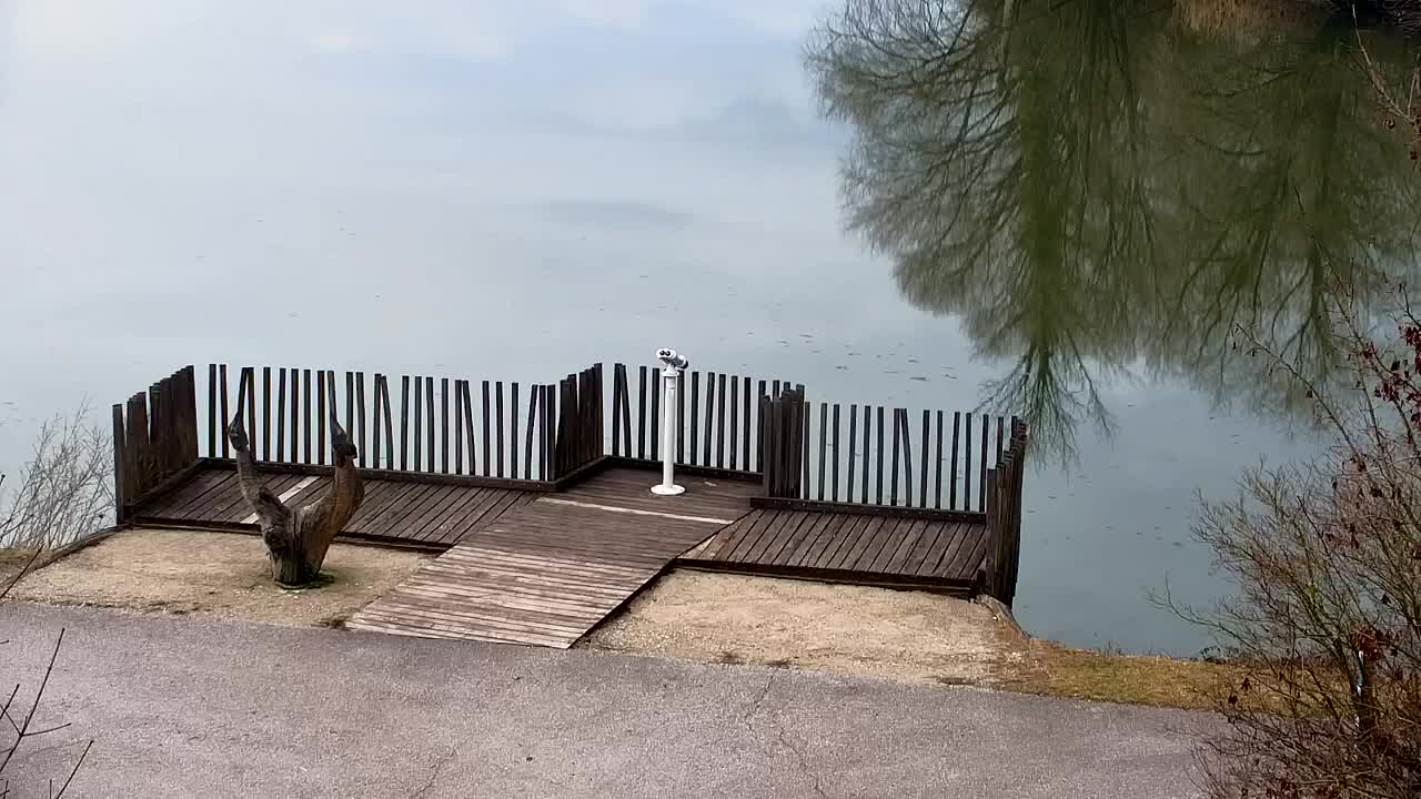 Webcam Ribnik Vrbje – Žalec