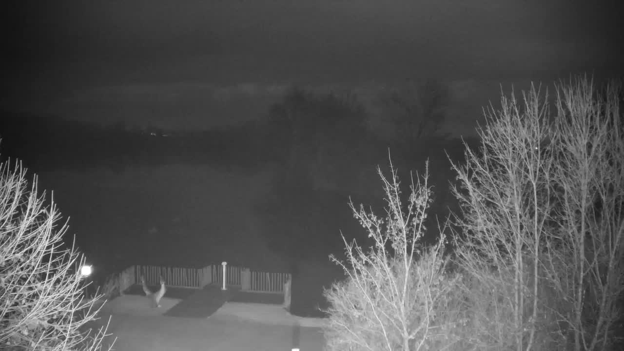 Webcam Ribnik Vrbje – Žalec