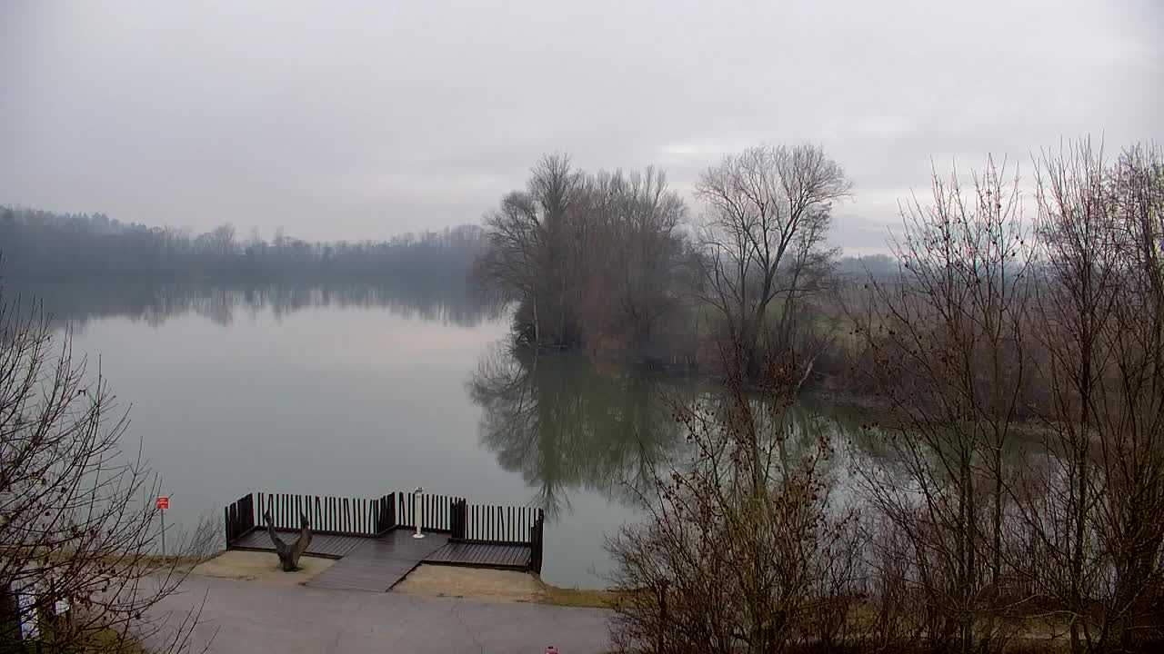 Webcam Ribnik Vrbje – Žalec