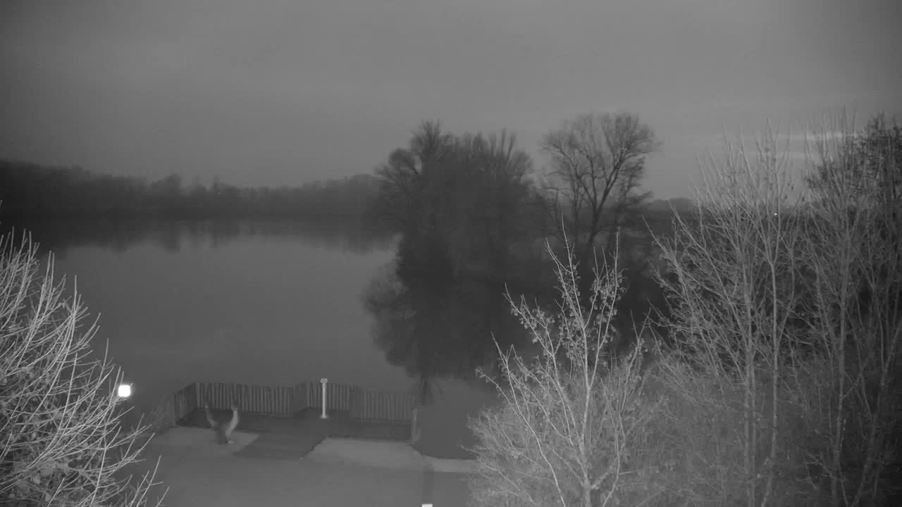 Spletna kamera Ribnik Vrbje – Žalec