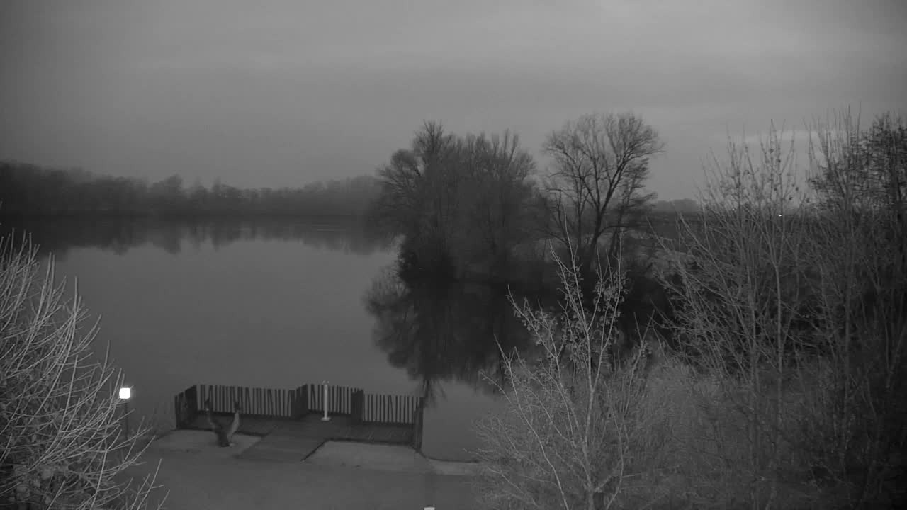 Webcam Ribnik Vrbje – Žalec