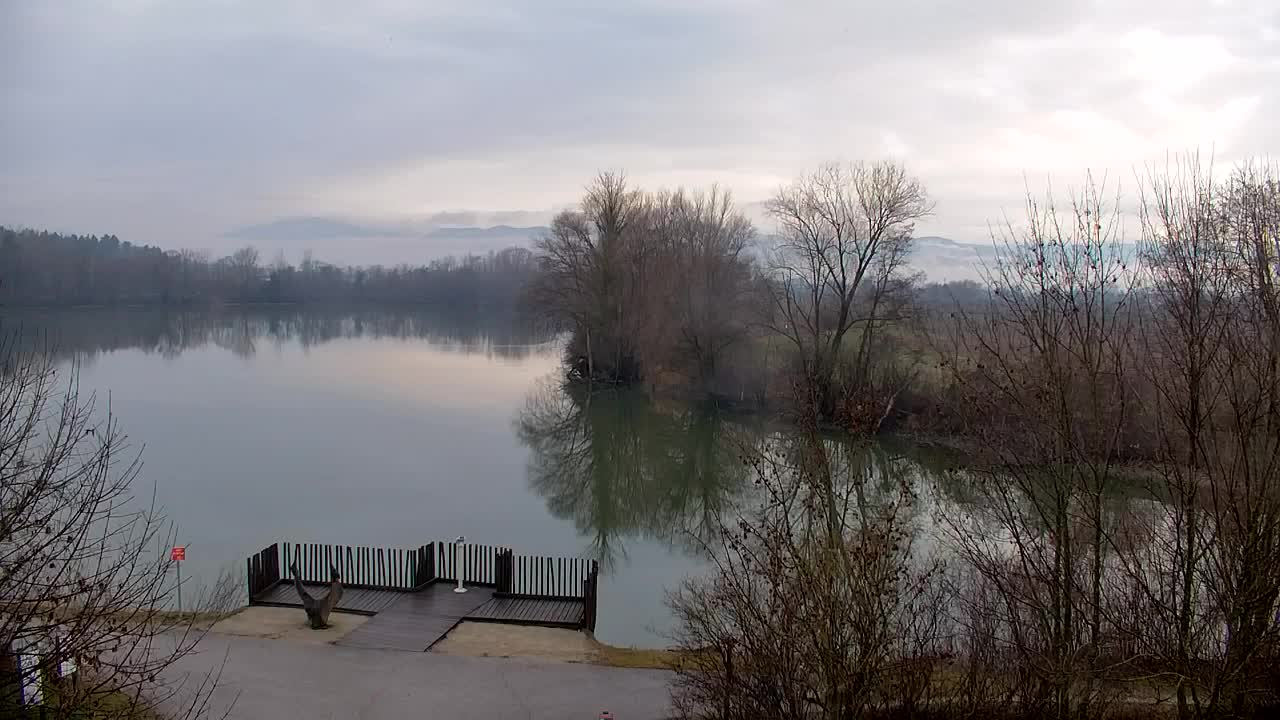 Webcam Ribnik Vrbje – Žalec