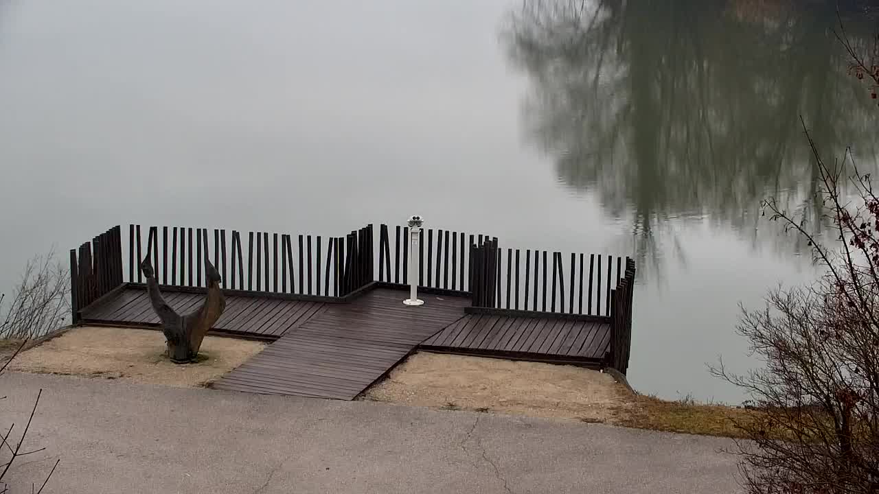 Webcam Ribnik Vrbje – Žalec