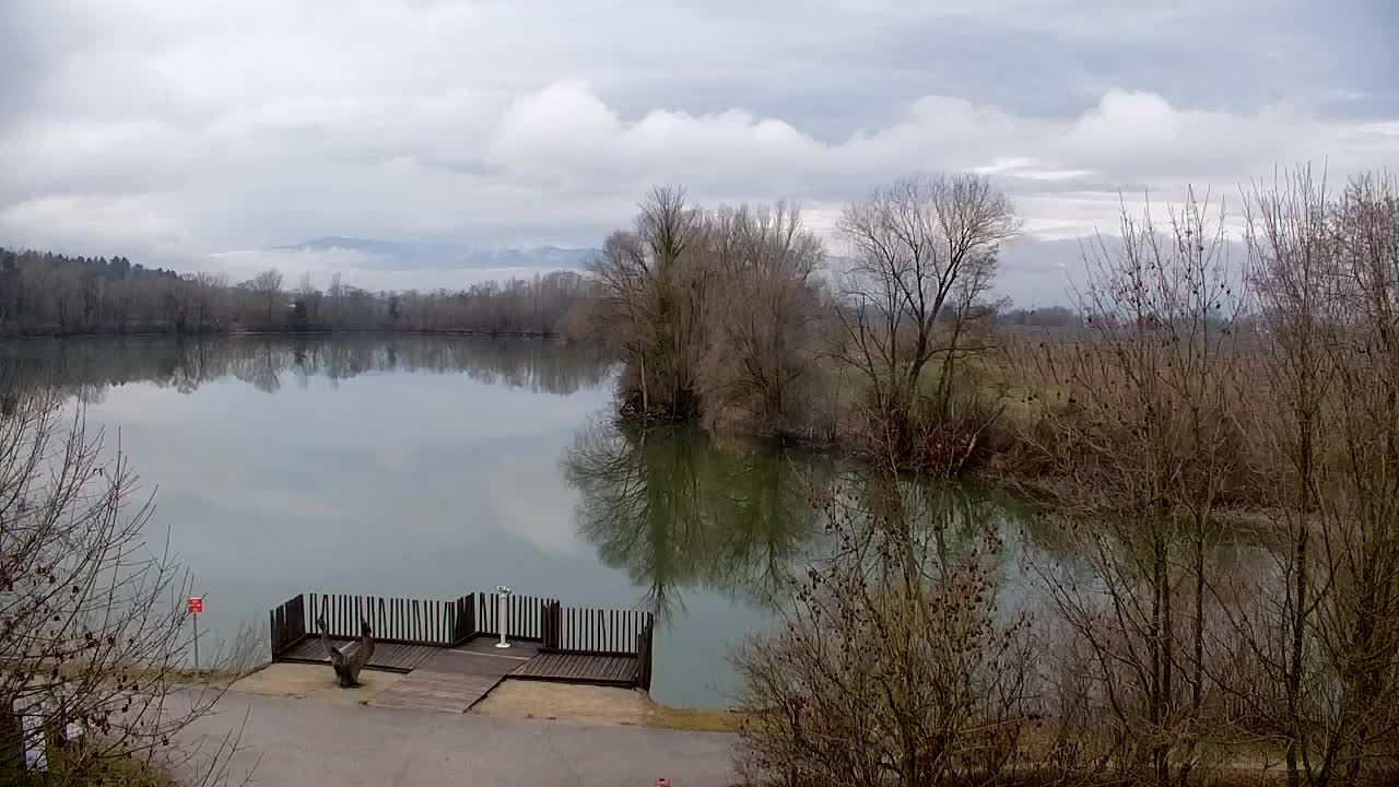 Webcam Ribnik Vrbje – Žalec