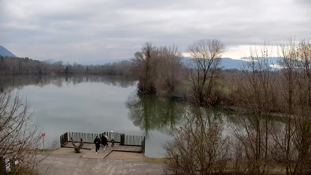 Webcam Ribnik Vrbje – Žalec