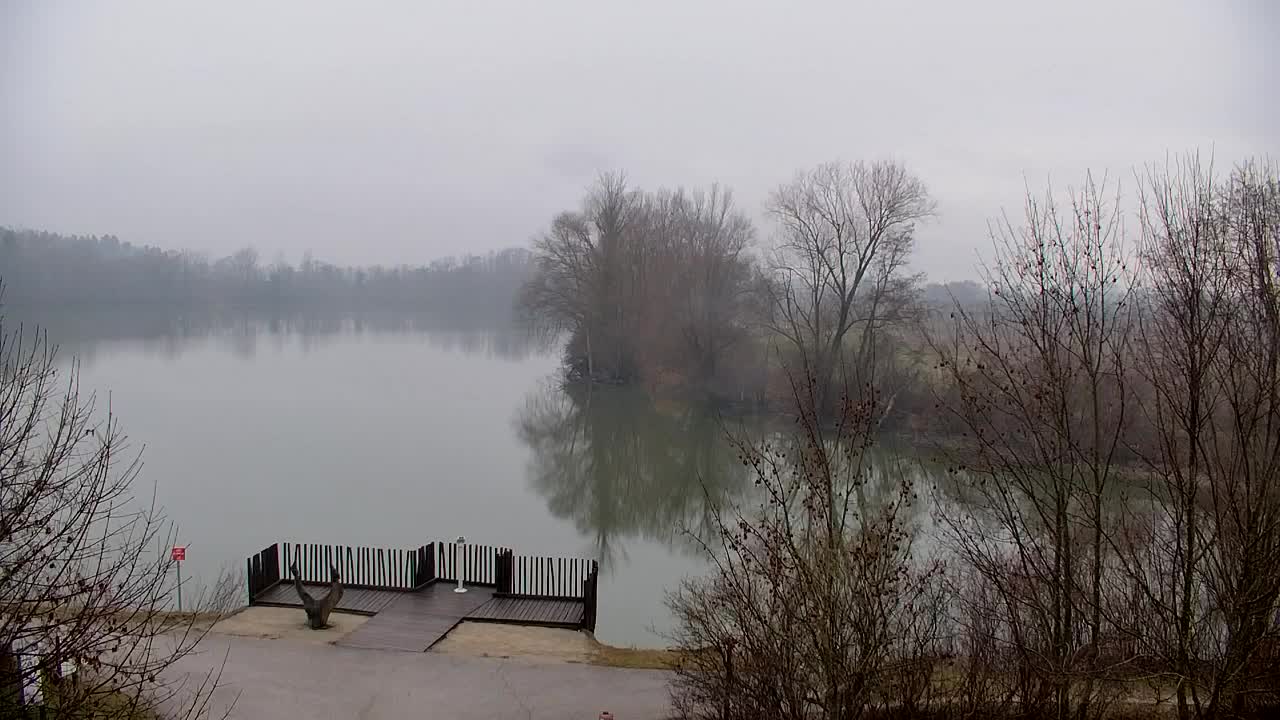 Webcam Ribnik Vrbje – Žalec