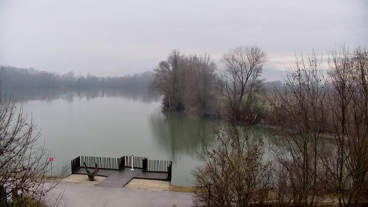 Web kamera Ribnik Vrbje – Žalec