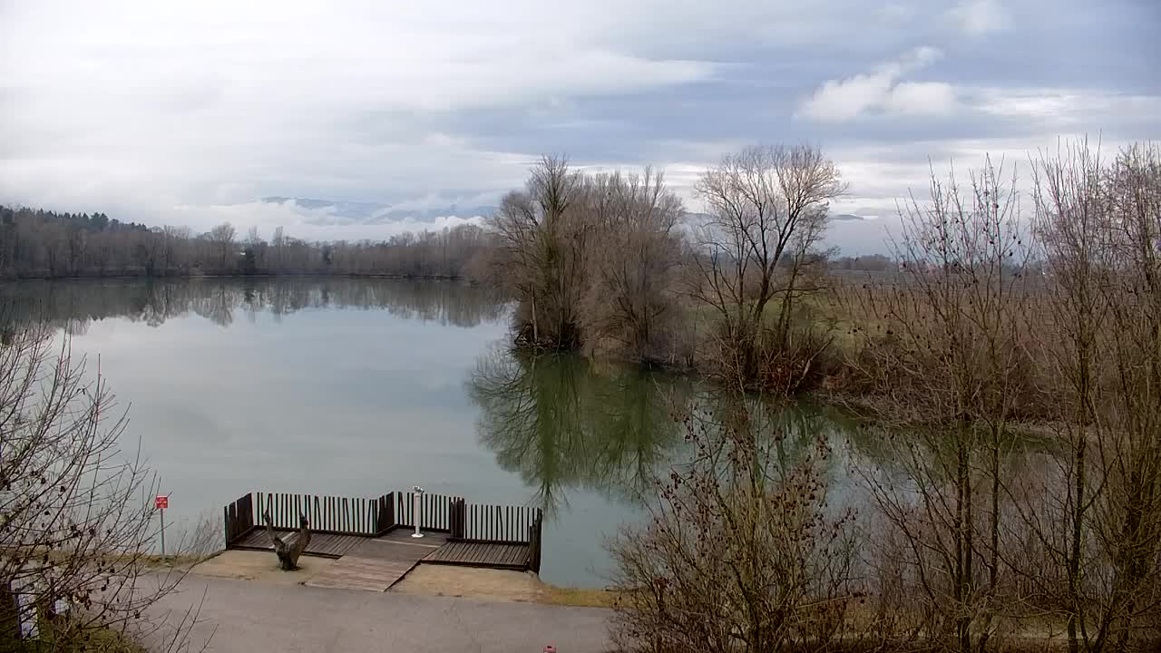 Webcam Ribnik Vrbje – Žalec