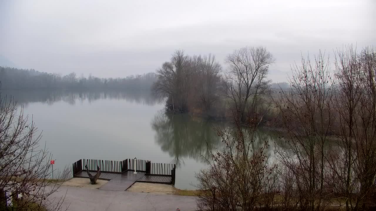Webcam Ribnik Vrbje – Žalec