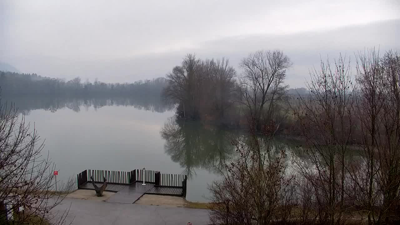 Spletna kamera Ribnik Vrbje – Žalec