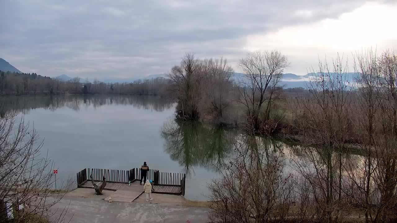 Spletna kamera Ribnik Vrbje – Žalec