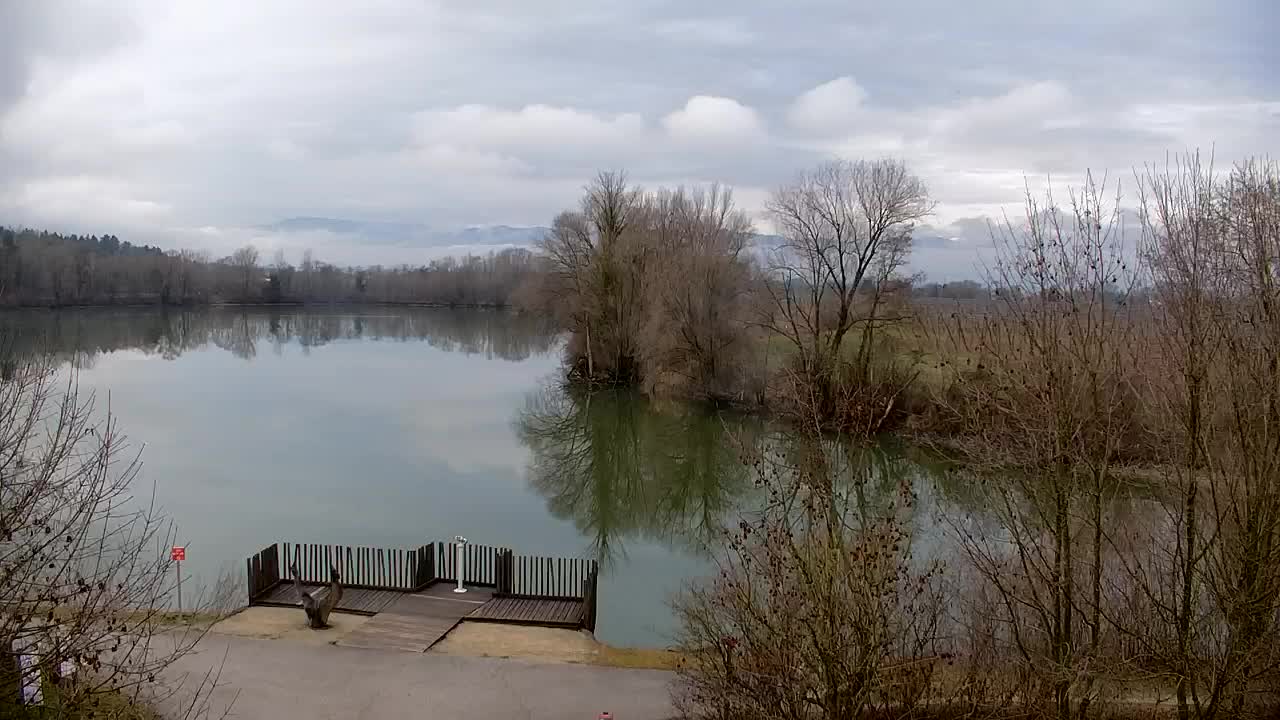 Web kamera Ribnik Vrbje – Žalec