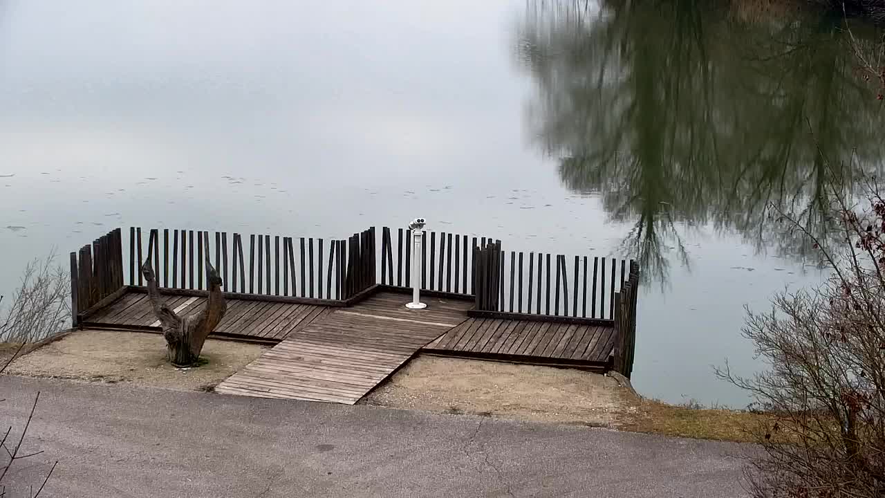 Webcam Ribnik Vrbje – Žalec