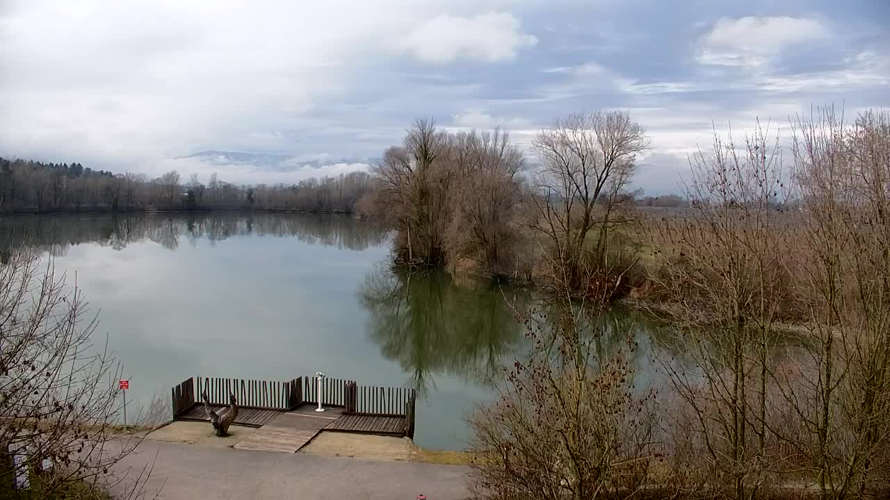 Webcam Ribnik Vrbje – Žalec