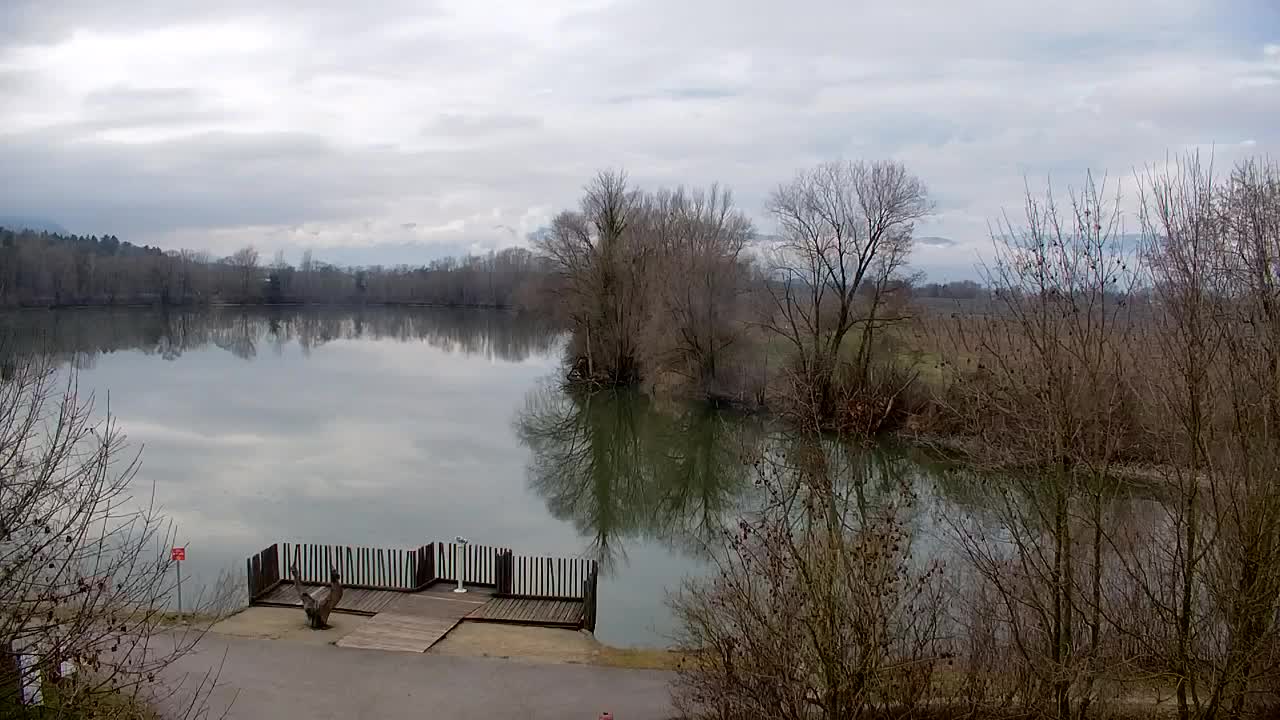 Webcam Ribnik Vrbje – Žalec