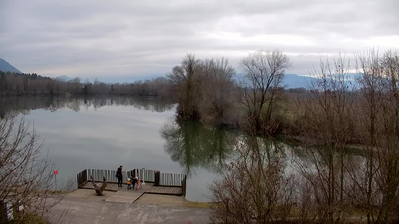 Webcam Ribnik Vrbje – Žalec