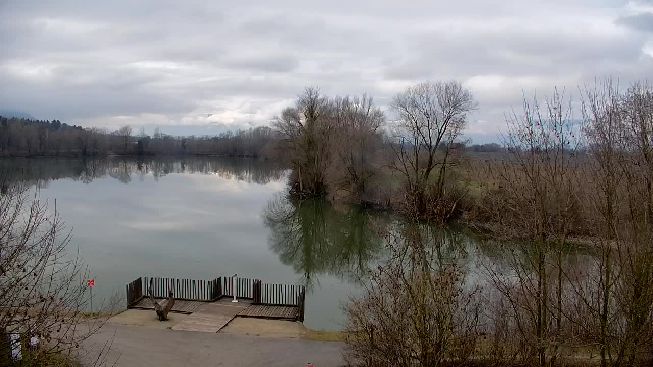 Webcam Ribnik Vrbje – Žalec