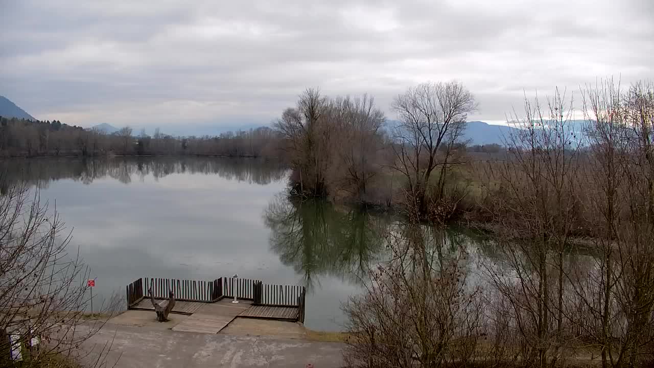 Webcam Ribnik Vrbje – Žalec