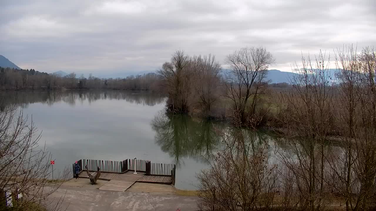 Webcam Ribnik Vrbje – Žalec