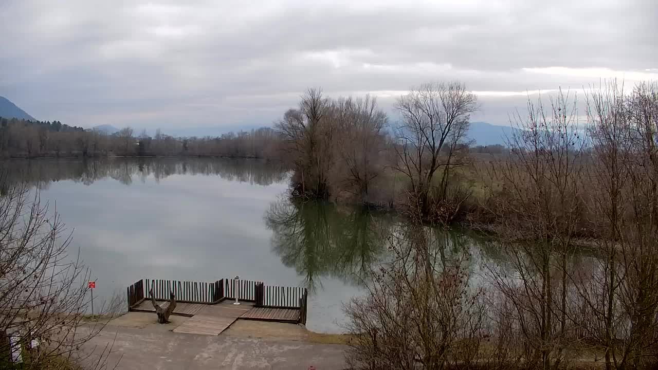 Webcam Ribnik Vrbje – Žalec
