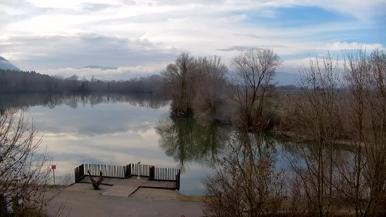 Webcam Ribnik Vrbje – Žalec