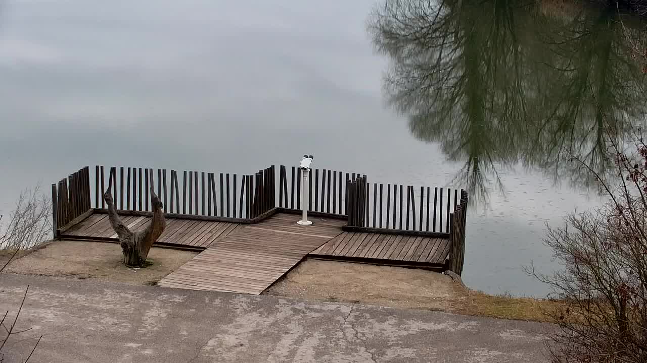 Webcam Ribnik Vrbje – Žalec