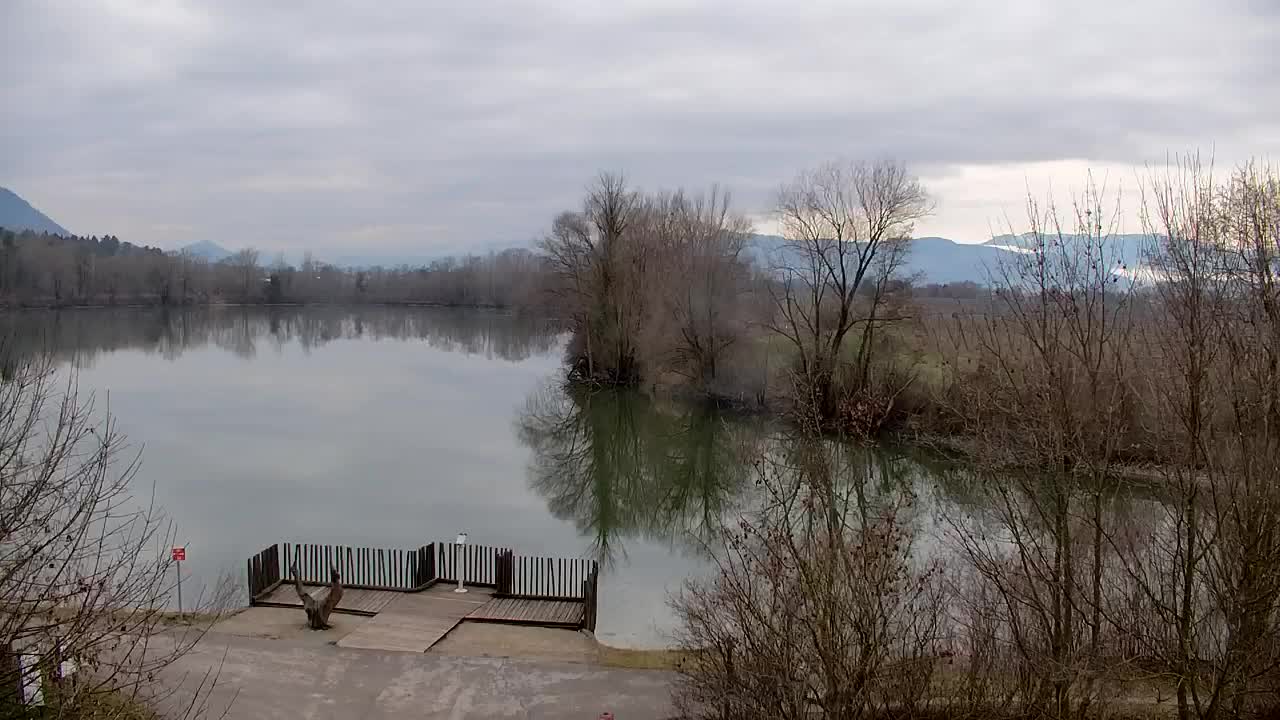 Webcam Ribnik Vrbje – Žalec