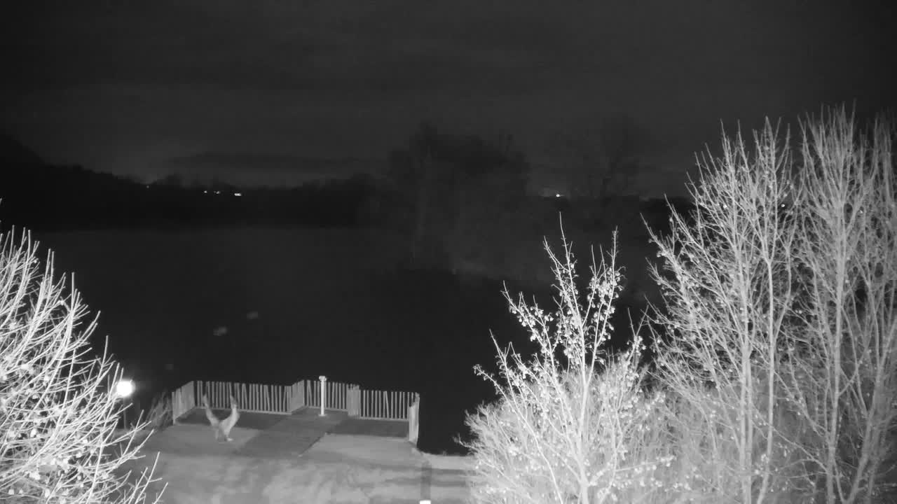 Webcam Ribnik Vrbje – Žalec