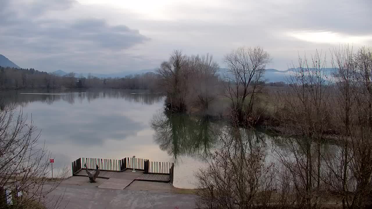 Webcam Ribnik Vrbje – Žalec