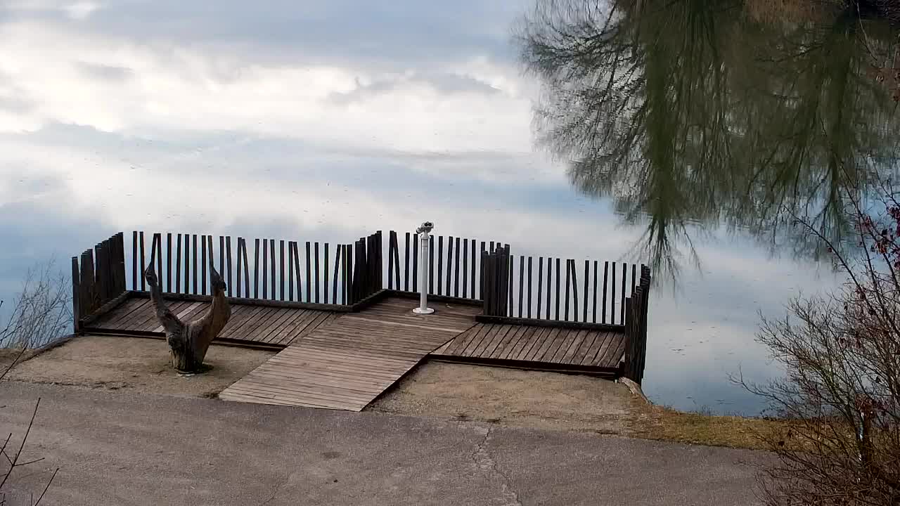 Webcam Ribnik Vrbje – Žalec