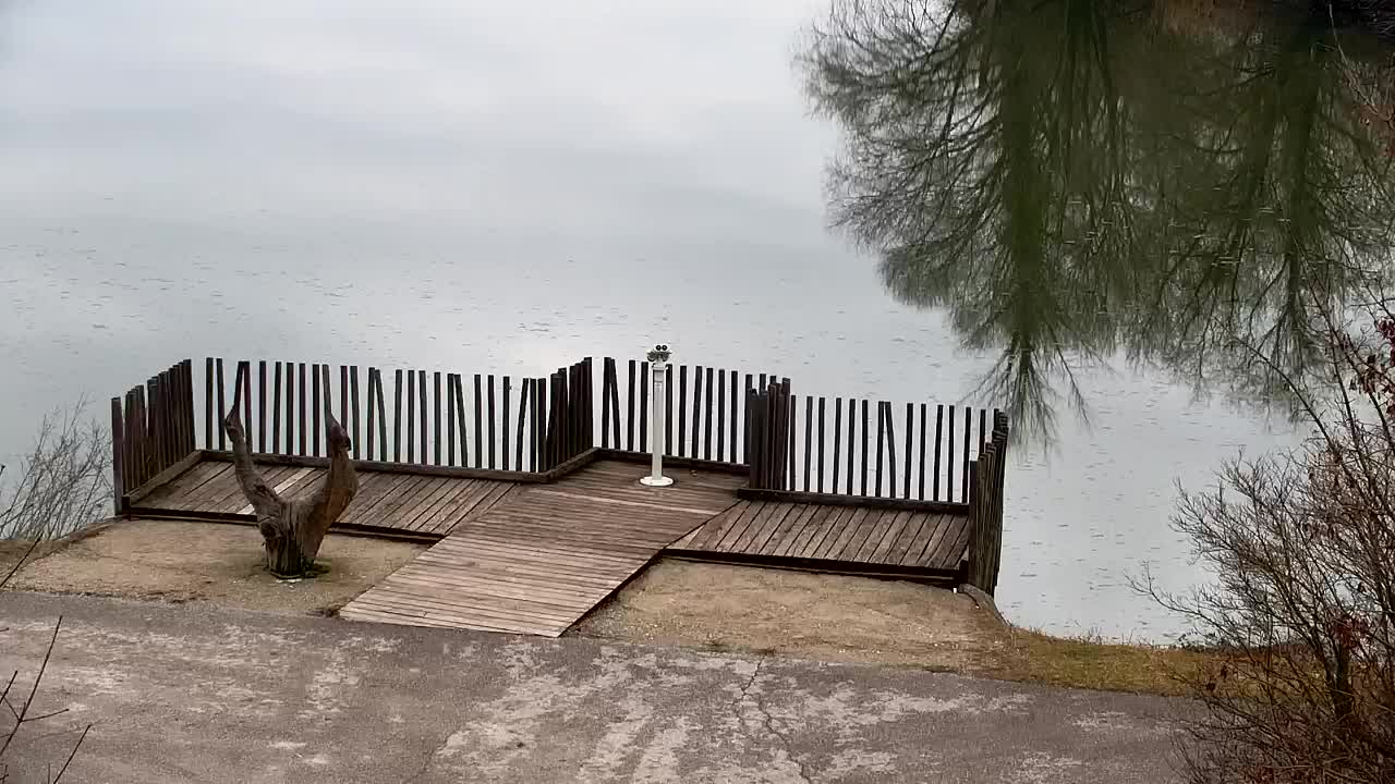 Webcam Ribnik Vrbje – Žalec