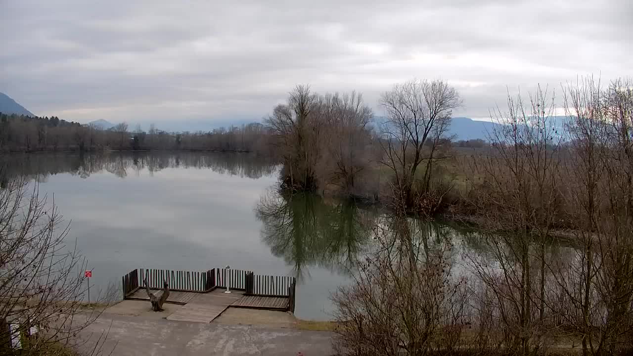 Webcam Ribnik Vrbje – Žalec