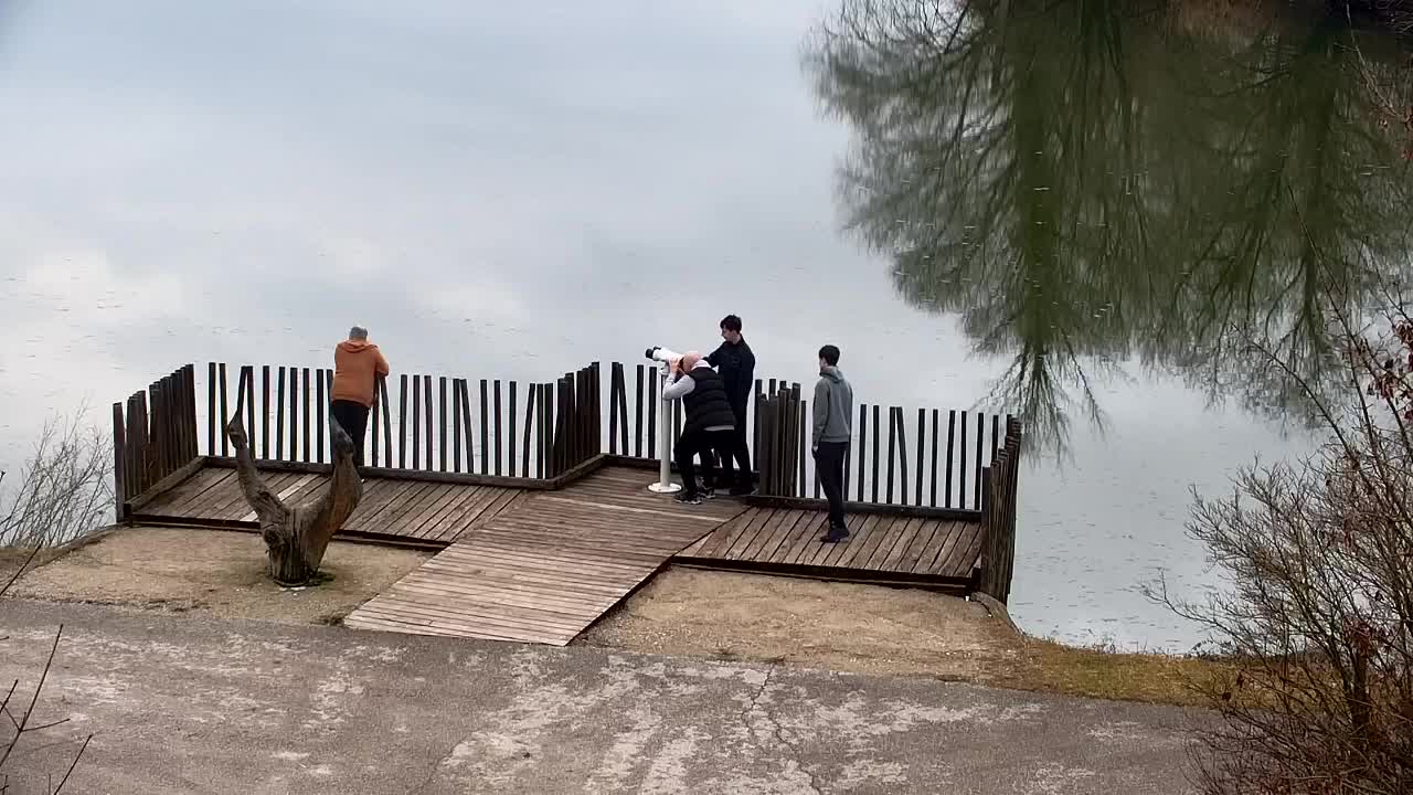 Webcam Ribnik Vrbje – Žalec